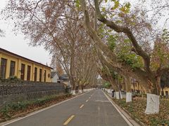 -T80科技文化国际社区-停车场