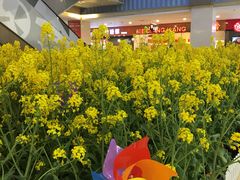 -天虹购物中心(石路店)