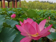 -南戴河国际娱乐中心