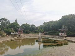 -青龙山国家森林公园