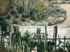 -南山植物园