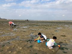 -北海金海湾红树林生态旅游区