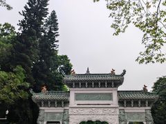 -顺峰山公园