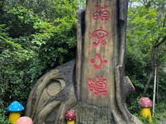 -清境桃源
