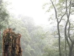 -青城山