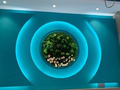 -柠檬树茶餐厅(海雅缤纷城店)