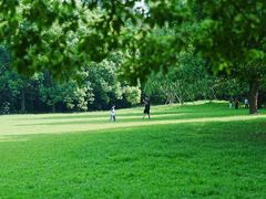 -上海共青森林公园