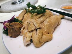 葱油手撕鸡-随园花园餐厅(新港中路店)