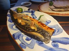 -山葵家·创意料理(EFC欧美广场店)