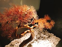 -璞御·海鲜·雪花牛肉局(宾水西道店)