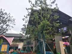 -苏州乐园森林水世界