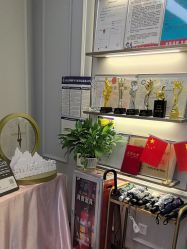 -伊丽汇