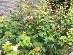 -东亿天弘演播大厅