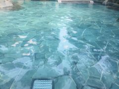 -唐风温泉