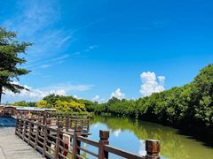 -大湾区中央湿地公园