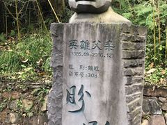 -都江堰中华大熊猫苑