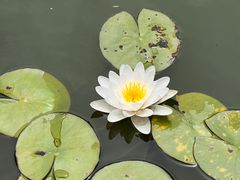 -恭王府博物馆
