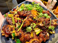 -蓉客成都火锅·招牌麻辣牛杂·特色香辣蹄花(凌水店)