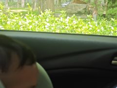 -秦皇岛野生动物园