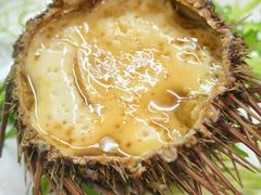 海胆蒸蛋-众想海鲜·烧烤·海肠捞饭·渔家菜(孙家疃店)