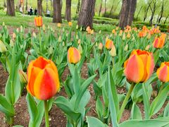 -长春公园(普阳街道)