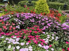 -庐山风景区花径公园