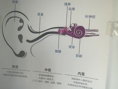 -宁耳听力助听器奥迪康·峰力·西门子(宝山店)
