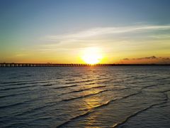 -宝安西湾红树林湿地公园