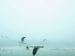 -栈桥景区