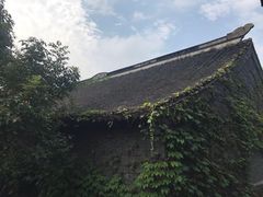 -梅园