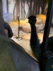 -酷嗒动物文化乐园(cutezoo西溪乐天城店)