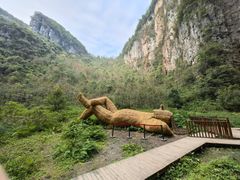 -重庆武隆天生三桥风景区-神鹰天坑