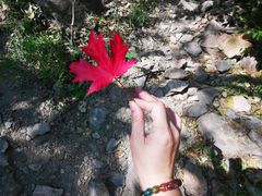 -北京西山国家森林公园