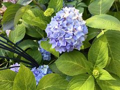 -东华门大街小区