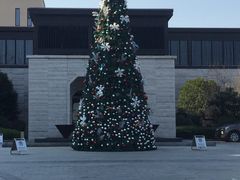 -上海崇明金茂凯悦酒店