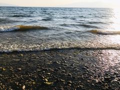 -月亮湾湿地公园