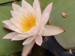 -无锡梅园公园