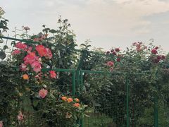 -呼吸森林·生态农庄农家乐私房菜