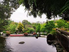 -成飞公园