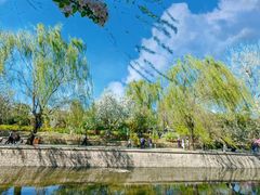 -海棠花溪(元大都城垣遗址公园)