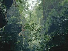 -梭布垭石林景区