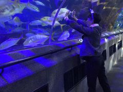-大连圣亚海洋世界