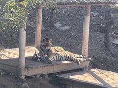 -石家庄市动物园