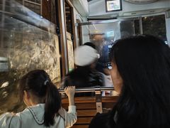 -山顶缆车