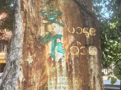 -西双版纳傣族园