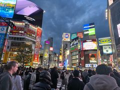 -涩谷全向十字路口