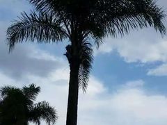 -南宁南湖公园