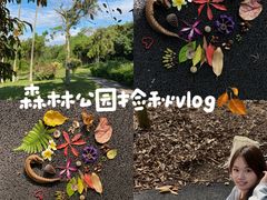 -南宁良凤江国家森林公园