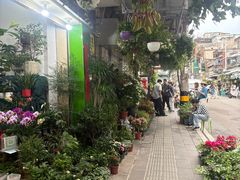 -溪岸路花鸟市场