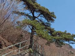 -浙西大峡谷